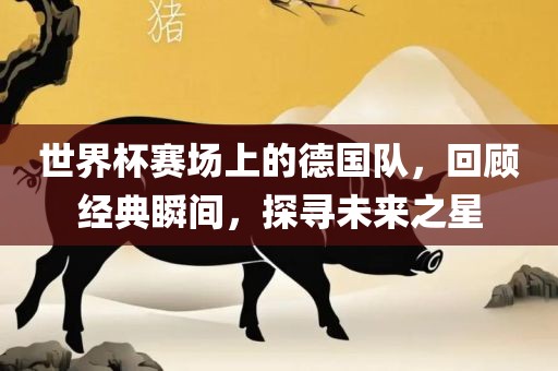 世界杯赛场上的德国队，回顾经典瞬间，探寻未来之星