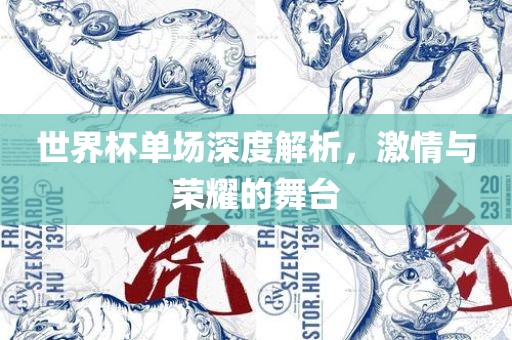 世界杯单场深度解析，激情与荣耀的舞台