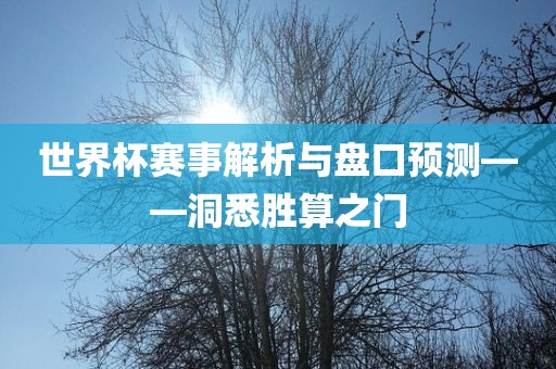 世界杯赛事解析与盘口预测——洞悉胜算之门
