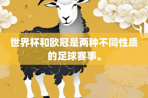 世界杯和欧冠是两种不同性质的足球赛事。