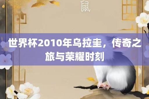 世界杯2010年乌拉圭，传奇之旅与荣耀时刻