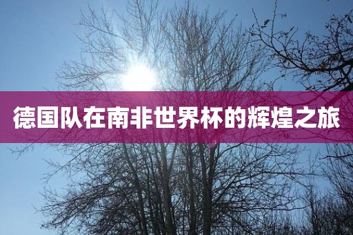 德国队在南非世界杯的辉煌之旅