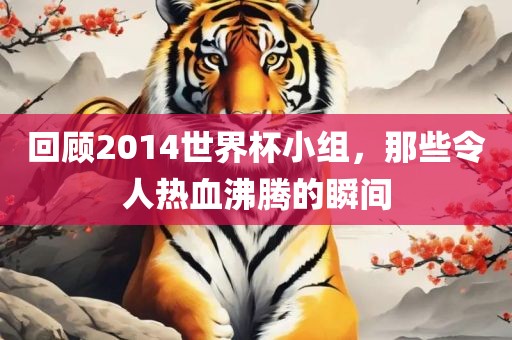 回顾2014世界杯小组，那些令人热血沸腾的瞬间