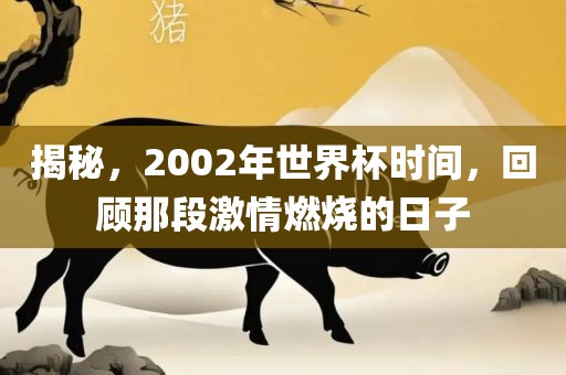 揭秘，2002年世界杯时间，回顾那段激情燃烧的日子