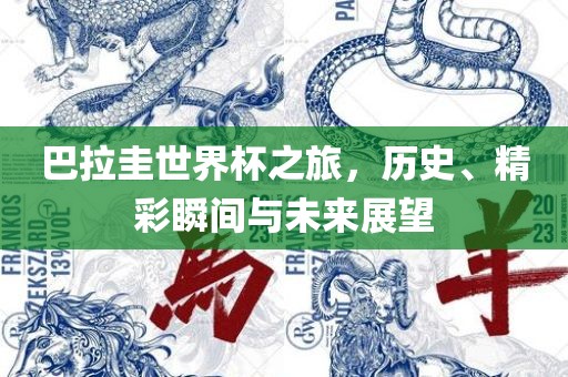 巴拉圭世界杯之旅，历史、精彩瞬间与未来展望