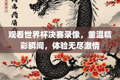 观看世界杯决赛录像，重温精彩瞬间，体验无尽激情