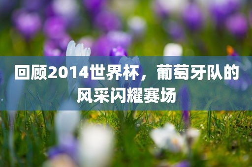 回顾2014世界杯，葡萄牙队的风采闪耀赛场