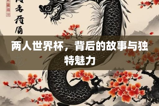 两人世界杯，背后的故事与独特魅力