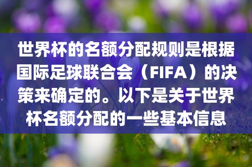 世界杯的名额分配规则是根据国际足球联合会（FIFA）的决策来确定的。以下是关于世界杯名额分配的一些基本信息