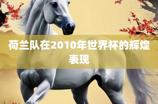 荷兰队在2010年世界杯的辉煌表现