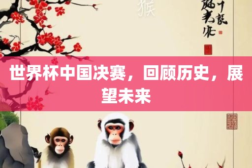 世界杯中国决赛，回顾历史，展望未来