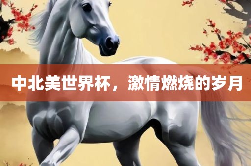 中北美世界杯，激情燃烧的岁月
