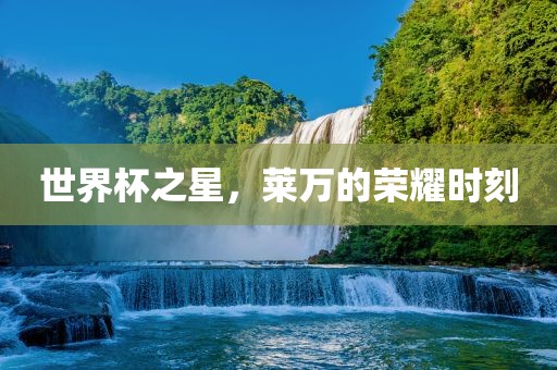世界杯之星，莱万的荣耀时刻