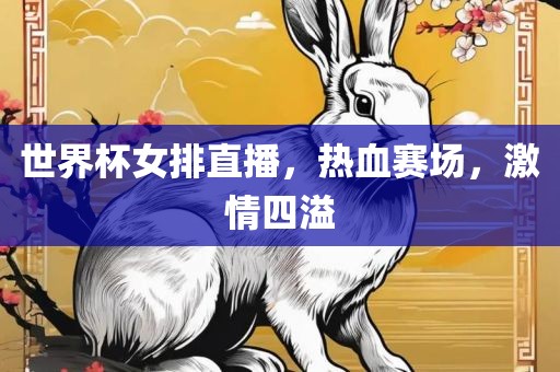 世界杯女排直播，热血赛场，激情四溢