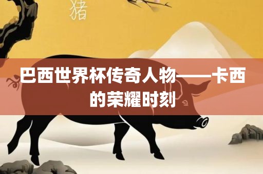 巴西世界杯传奇人物——卡西的荣耀时刻