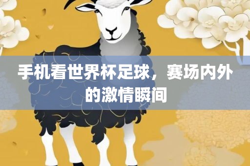 手机看世界杯足球，赛场内外的激情瞬间