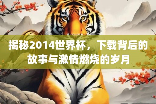 揭秘2014世界杯，下载背后的故事与激情燃烧的岁月