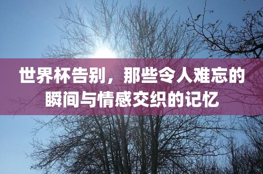 世界杯告别，那些令人难忘的瞬间与情感交织的记忆