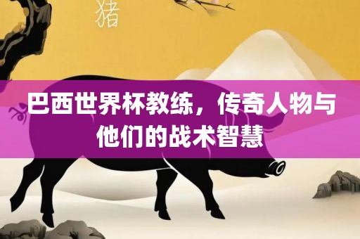 巴西世界杯教练，传奇人物与他们的战术智慧