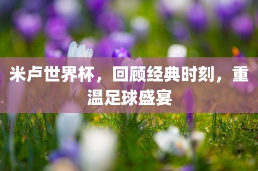 米卢世界杯，回顾经典时刻，重温足球盛宴