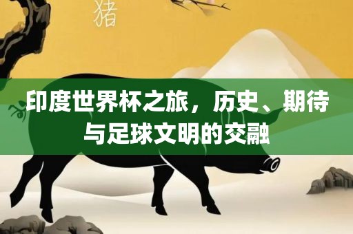 印度世界杯之旅，历史、期待与足球文明的交融