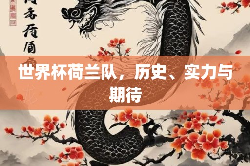 世界杯荷兰队，历史、实力与期待