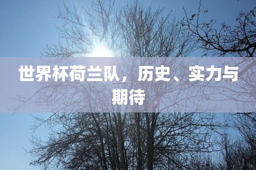 世界杯吉安市靖泰电力工程有限公司荷兰队，历史、实力与期待