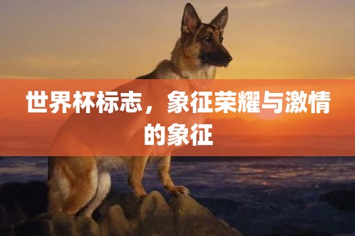 世界杯标志，象征荣耀与激情的象征
