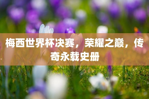 梅西世界杯决赛，荣耀之巅，传奇永载史册