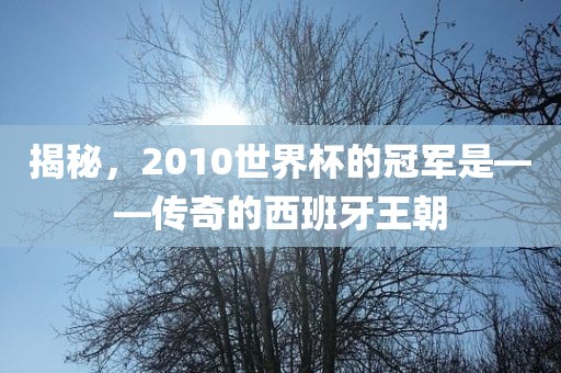 揭秘，2010世界杯的冠军是——传奇的西班牙王朝