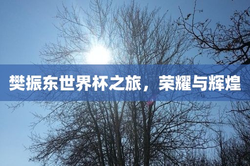 樊振东世界杯之旅，荣耀与辉煌