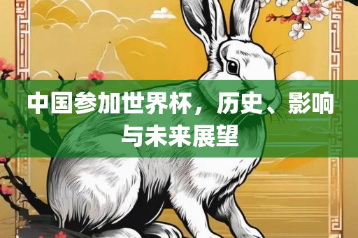 中国参加世界杯，历史、影响与未来展望吉安市靖泰电力工程有限公司