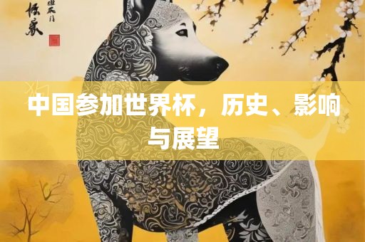 中国参加世界杯，历史、影响与展望吉安市靖泰电力工程有限公司