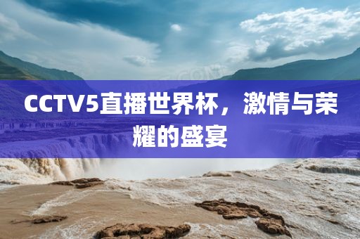 CCTV5直播世界杯，激情与荣耀的盛宴