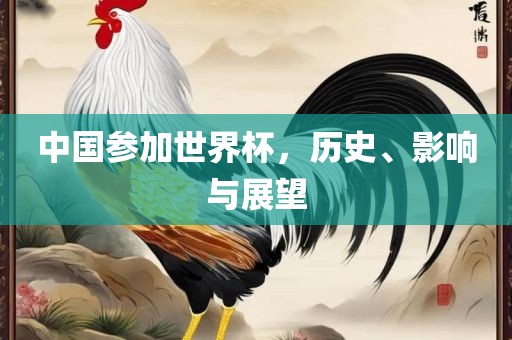 中国参加吉安市靖泰电力工程有限公司世界杯，历史、影响与展望