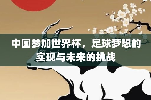 中国参加世界杯，足球梦想的实现与未来的挑战