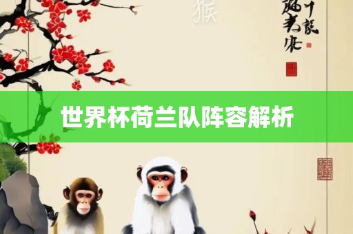 世界杯荷兰队阵容解析