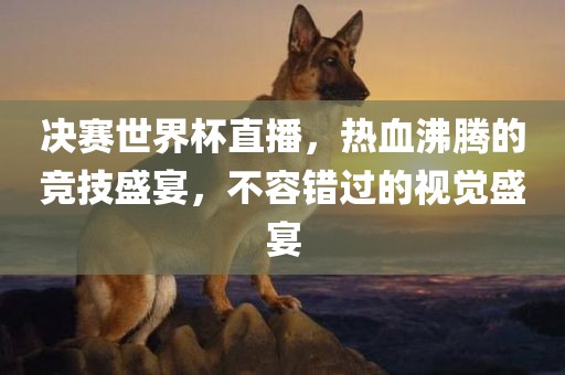 决赛世界杯直播，热血沸腾的竞技盛宴，不容错过的视觉盛宴