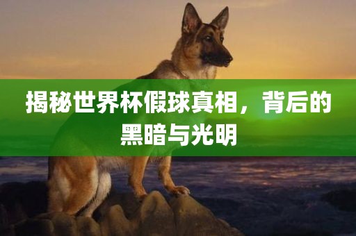 揭秘世界杯假球真相，背后的黑暗与光明
