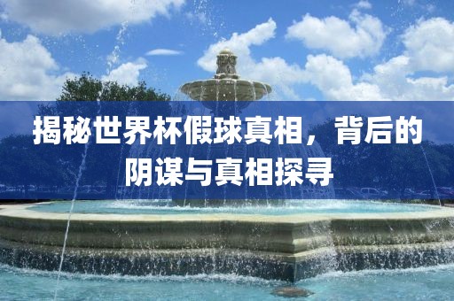 揭秘世界杯假球真相，背后的阴谋与真相探寻
