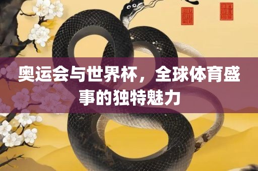 奥运会与世界杯，全球体育盛事的独特魅力