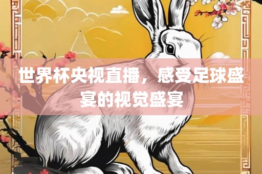 世界杯央视直播，感受足球盛宴的视觉盛宴