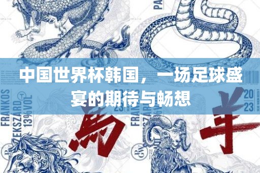 中国世界杯韩国，一场足球盛宴的期待与畅想吉安市靖泰电力工程有限公司