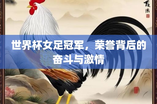 世界杯女足冠军，荣誉背后的奋斗与激情