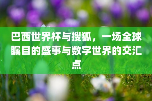 巴西世界杯与搜狐，一场全球瞩目的盛事与数字世界的交汇点