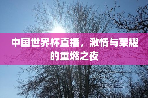 中国世界杯直播，激情与荣耀的重燃之夜吉安市靖泰电力工程有限公司