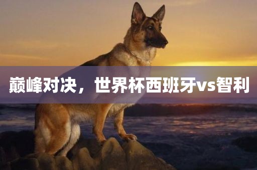 巅峰对决，世界杯西班牙vs智利