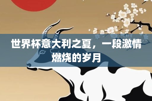 世界杯意大利之夏，一段激情燃烧的岁月