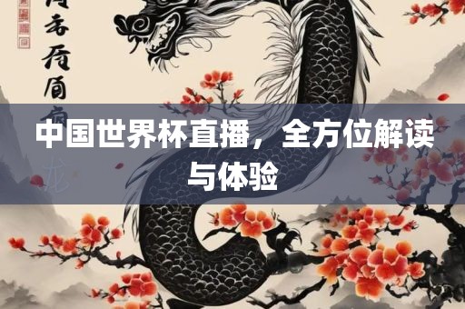 中国世界杯直播，全方位解读与体验吉安市靖泰电力工程有限公司