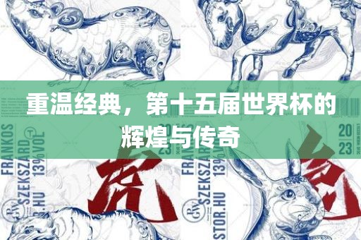 重温经典，第十五届世界杯的辉煌与传奇
